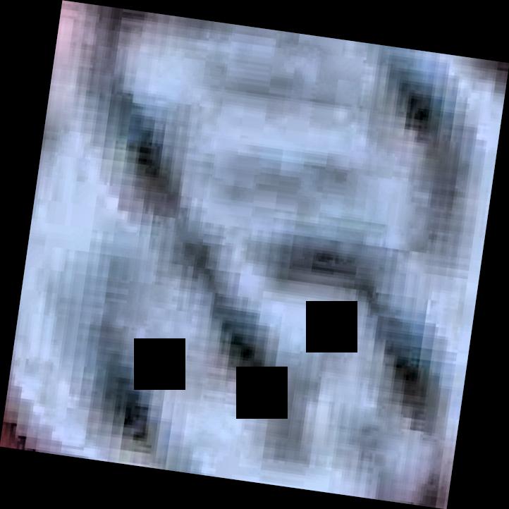 Dataset Image