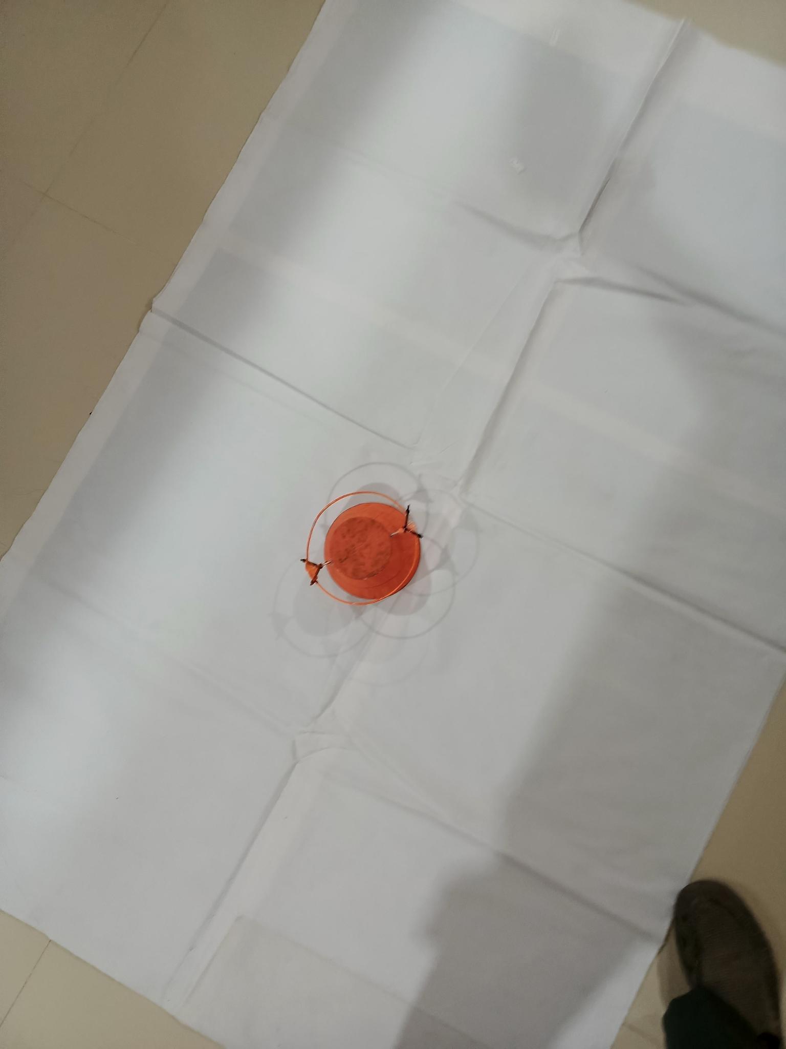 Dataset Image