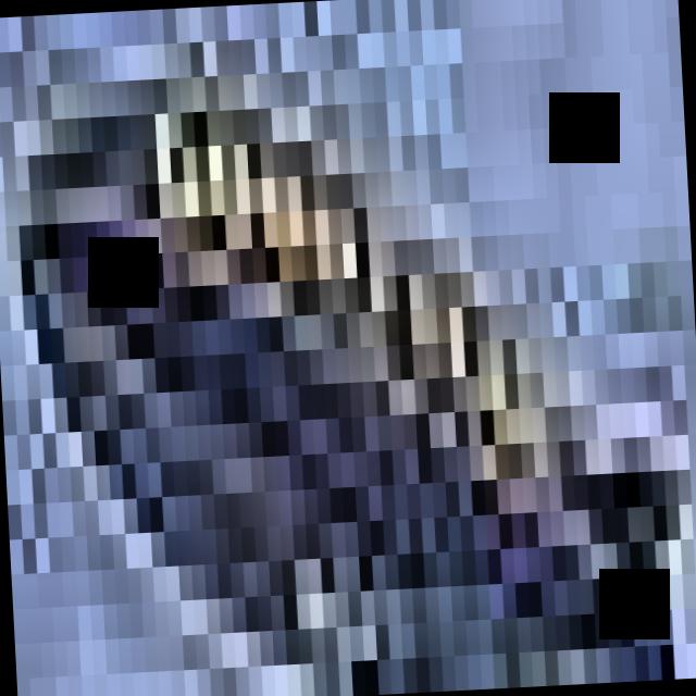 Dataset Image