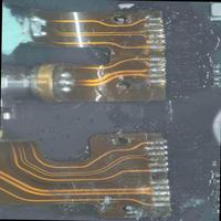 Dataset Image