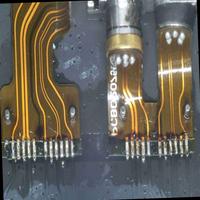 Dataset Image