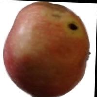 Dataset Image