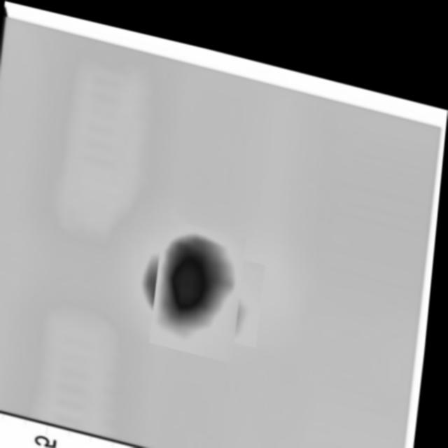 Dataset Image