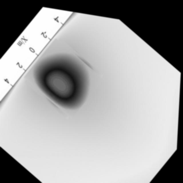 Dataset Image