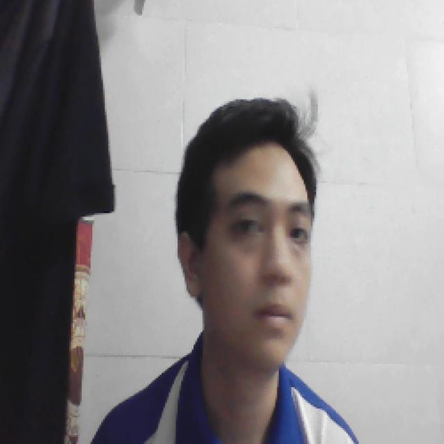 Dataset Image