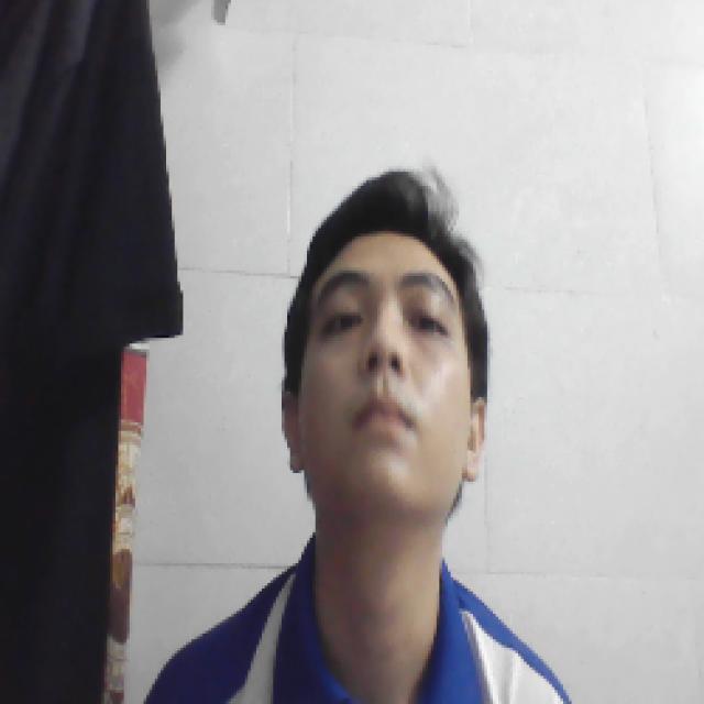 Dataset Image