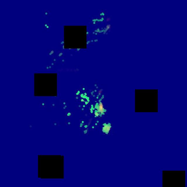 Dataset Image