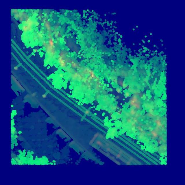 Dataset Image