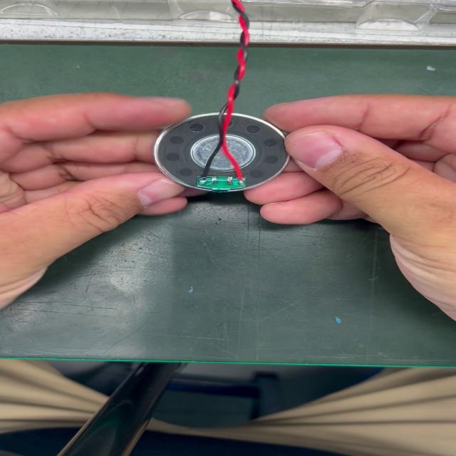 Dataset Image