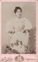 Dataset Image