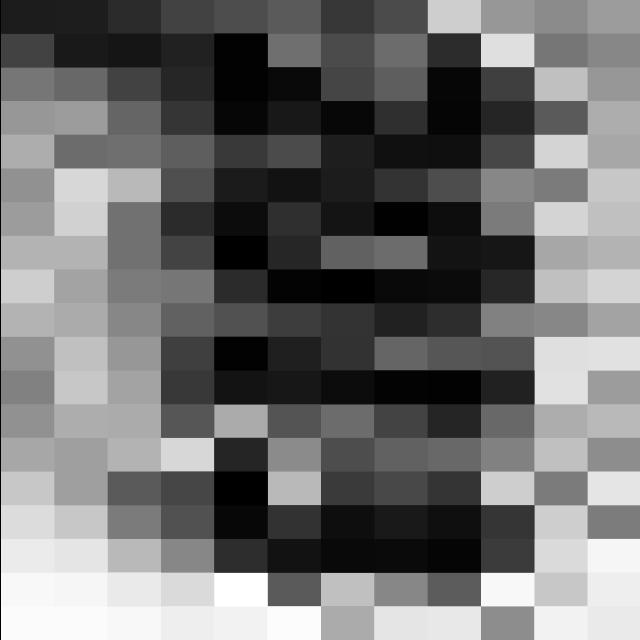 Dataset Image