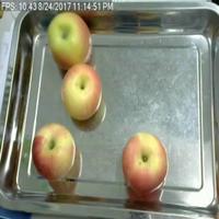 Dataset Image