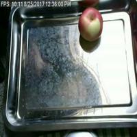 Dataset Image