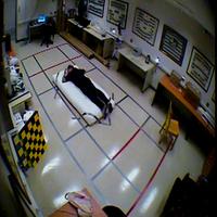 Dataset Image