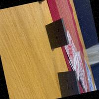 Dataset Image