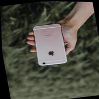 Dataset Image