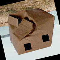Dataset Image