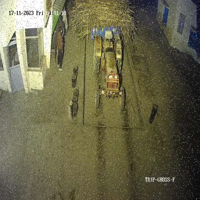 Dataset Image
