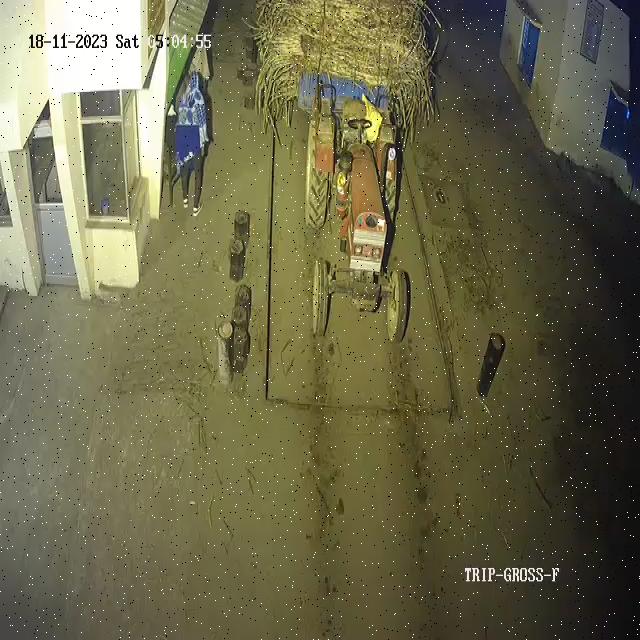 Dataset Image