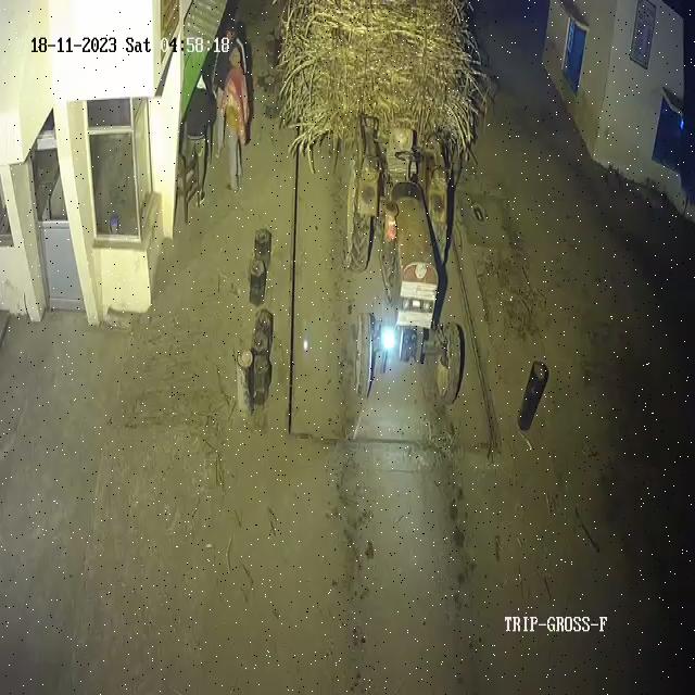 Dataset Image