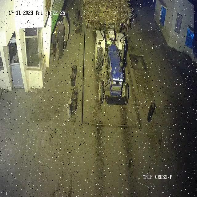 Dataset Image