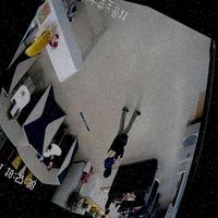 Dataset Image