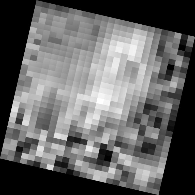 Dataset Image