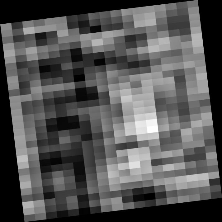 Dataset Image