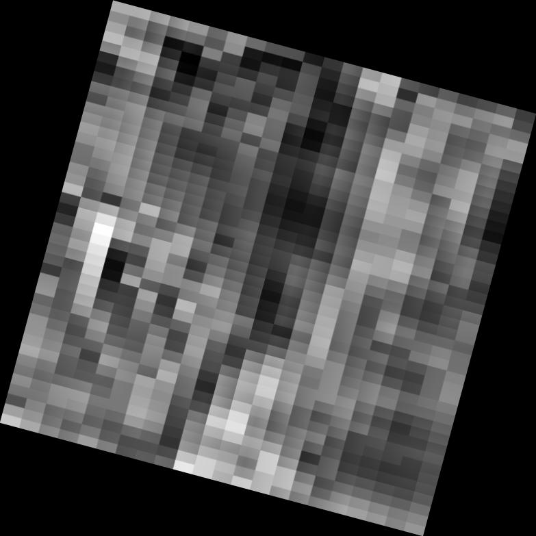 Dataset Image