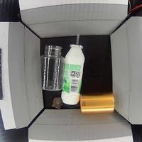 Dataset Image