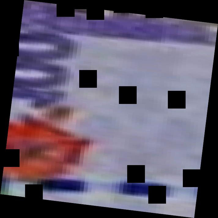 Dataset Image