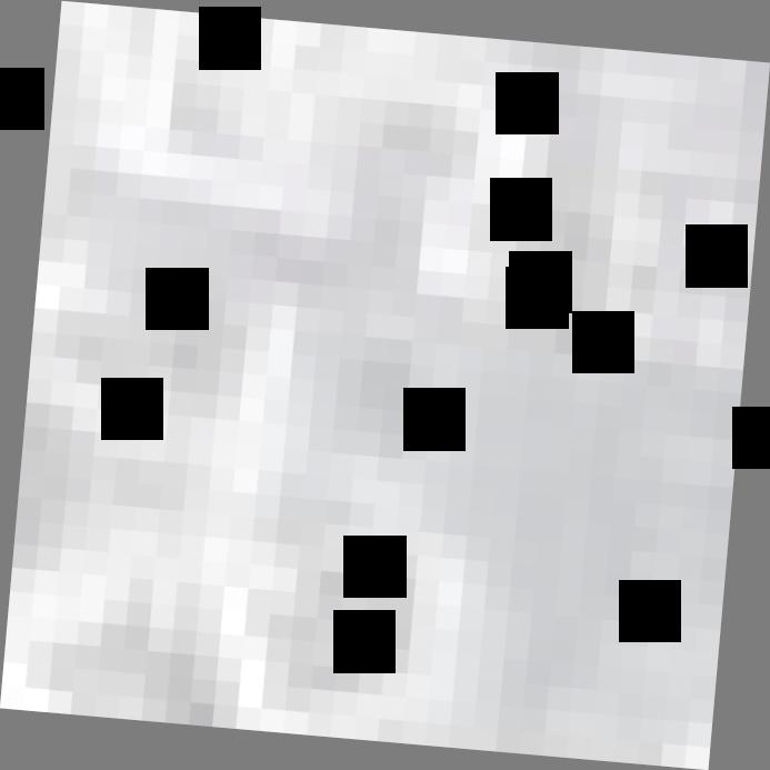 Dataset Image