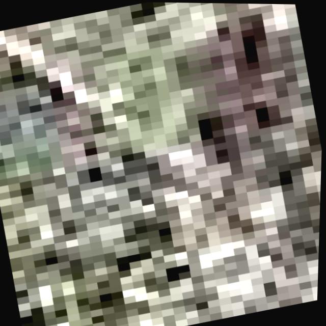 Dataset Image