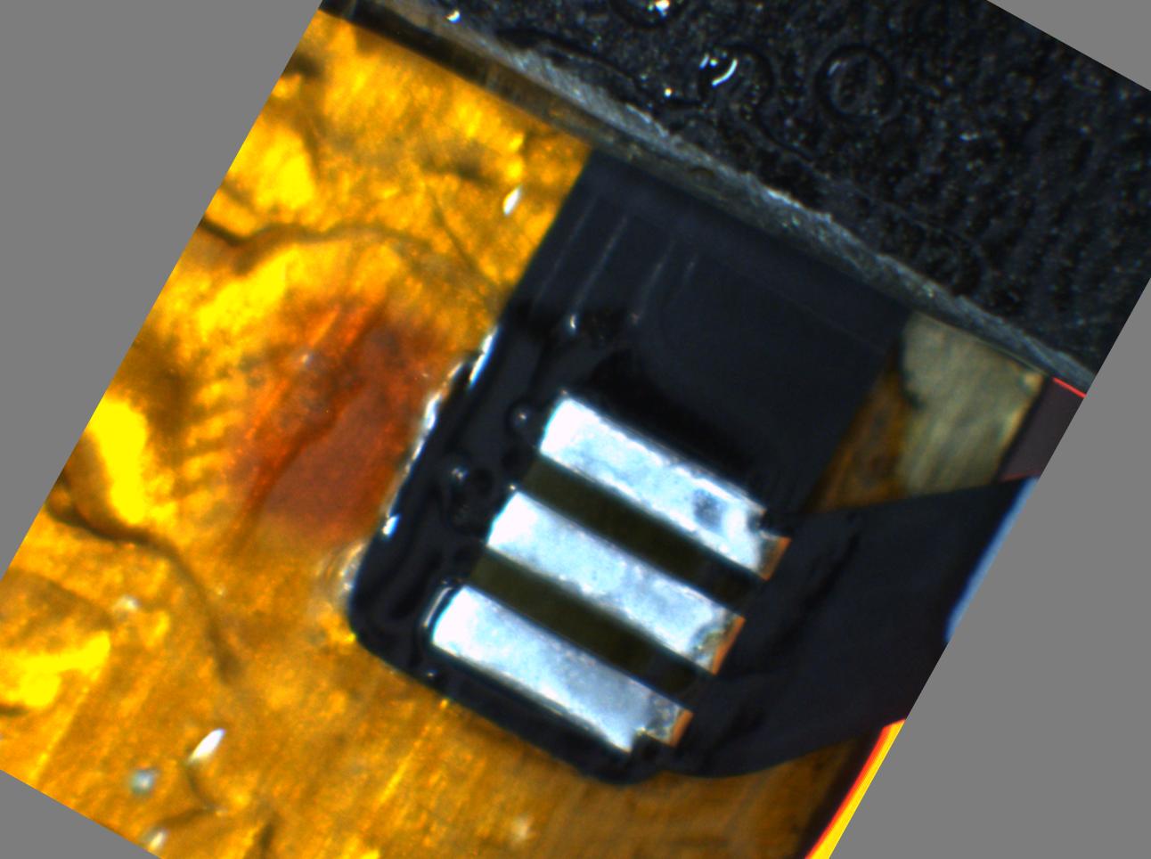 Dataset Image