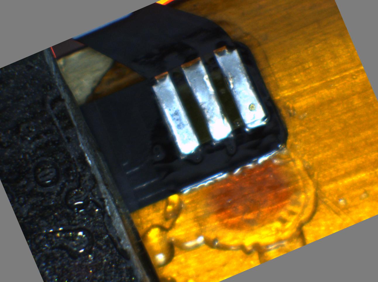 Dataset Image