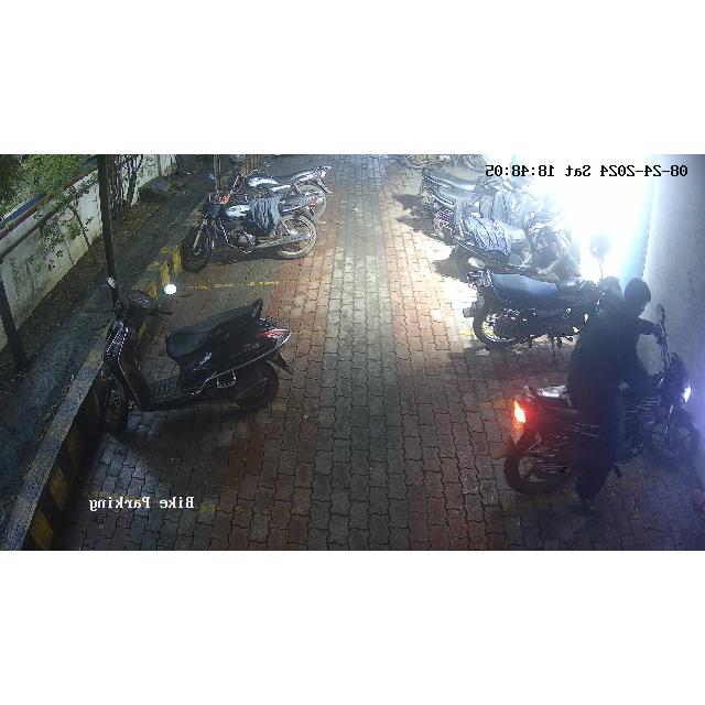 Dataset Image