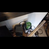 Dataset Image
