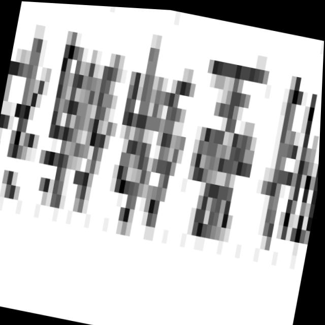 Dataset Image