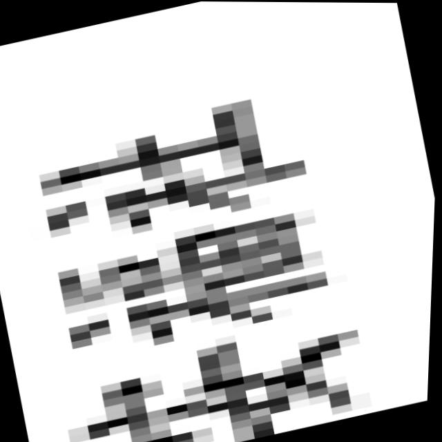 Dataset Image