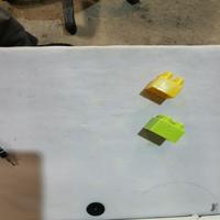 Dataset Image