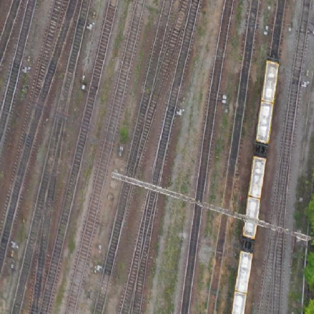 Dataset Image