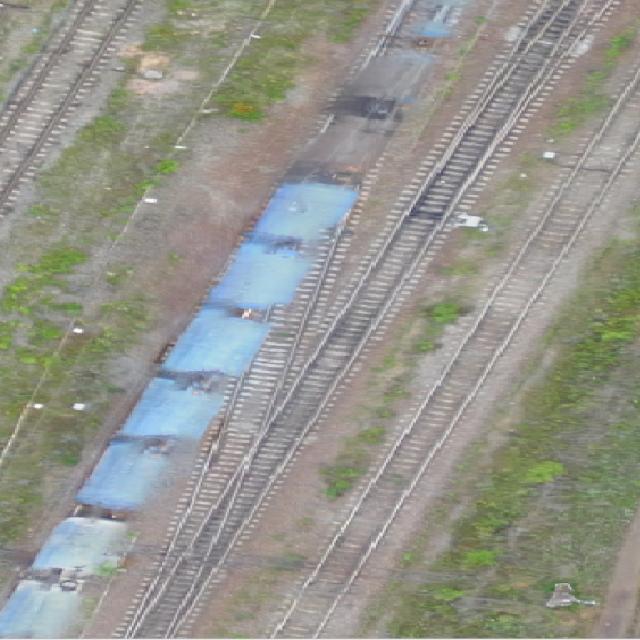 Dataset Image