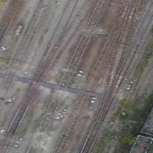 Dataset Image