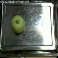 Dataset Image