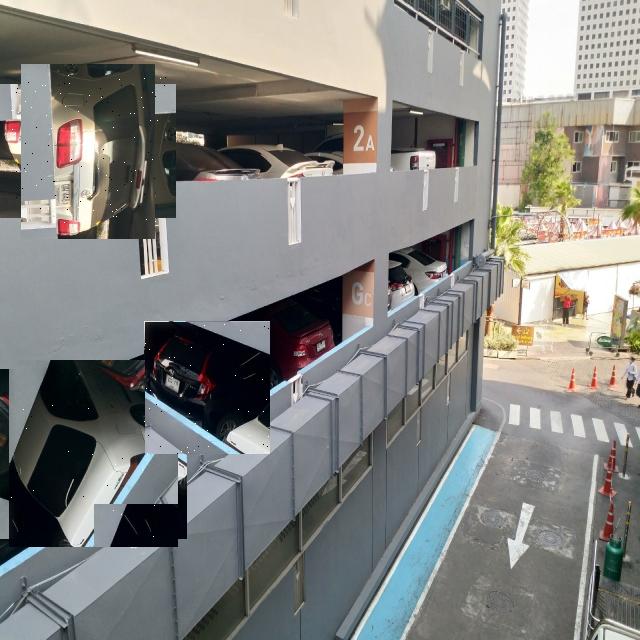 Dataset Image