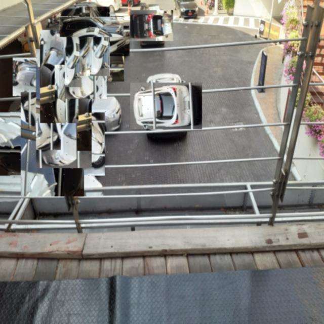 Dataset Image