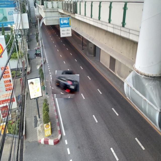 Dataset Image