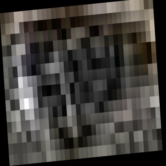 Dataset Image