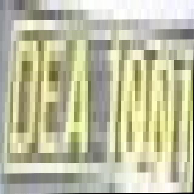 Dataset Image