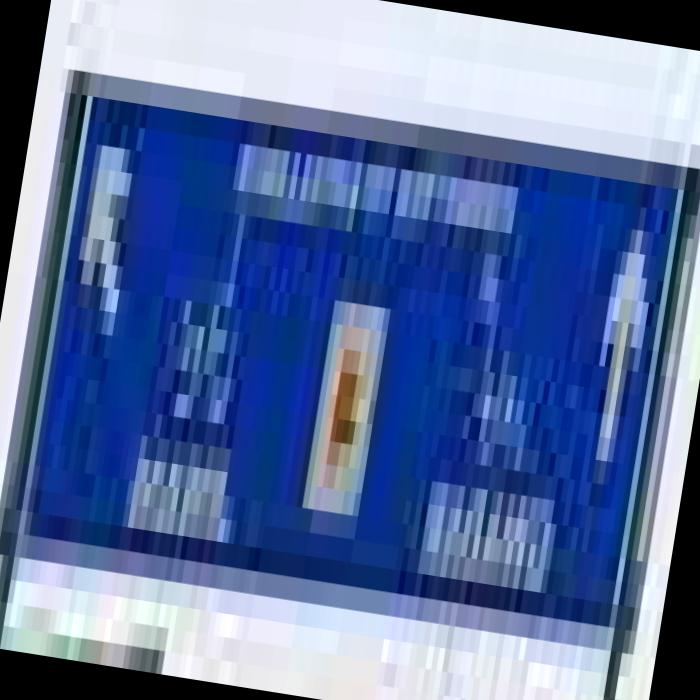 Dataset Image